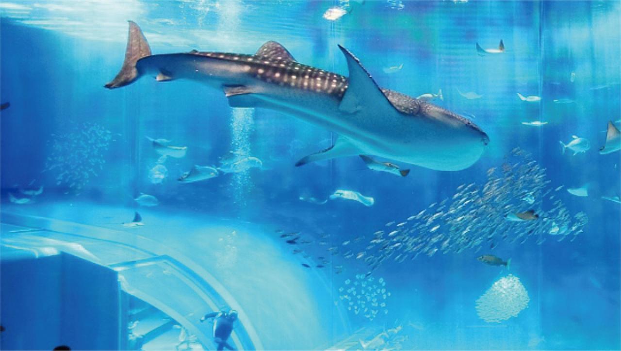 Yukurinaresort Okinawa Ocean Terrace 本部町 エクステリア 写真